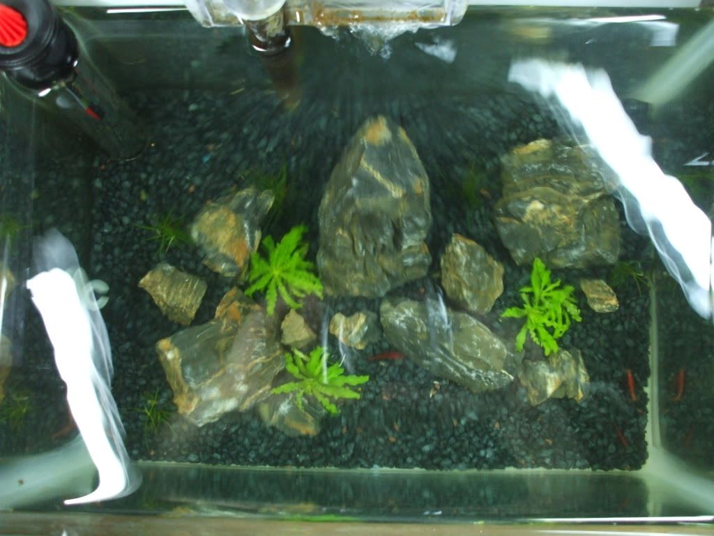 DSCF9738.jpg