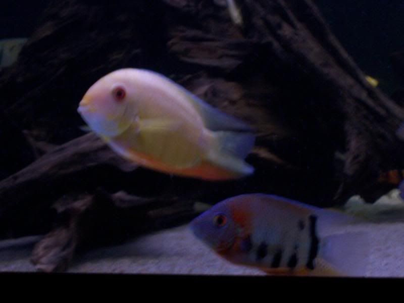 100_6052.jpg