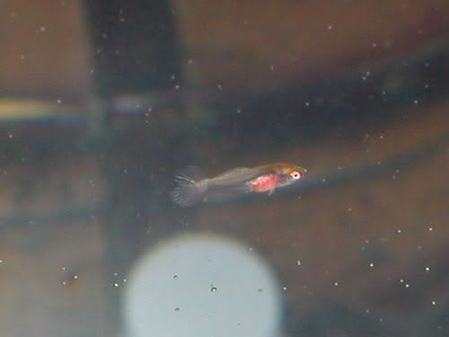 DSCN3861.jpg