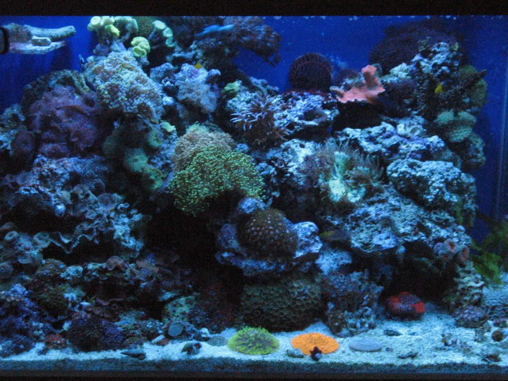 IMG_1981.jpg