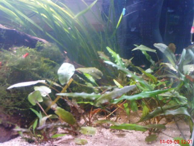 DSC00692-1.jpg