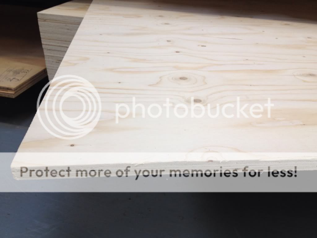 58324397.jpg