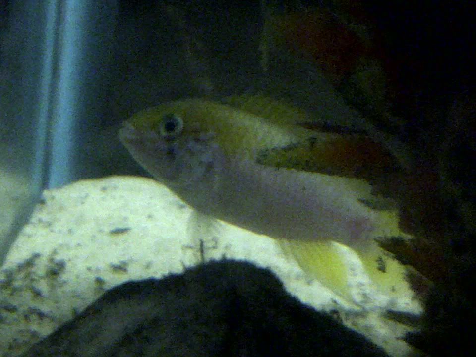 IMG-20111231-00149.jpg