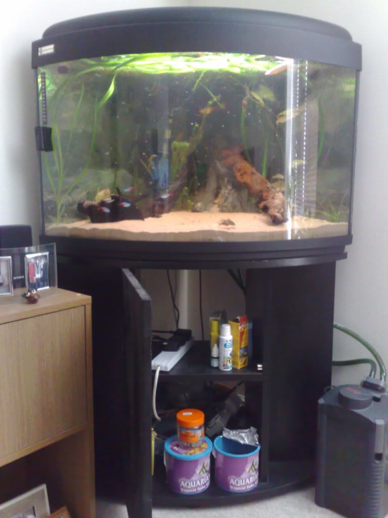 19032009152.jpg
