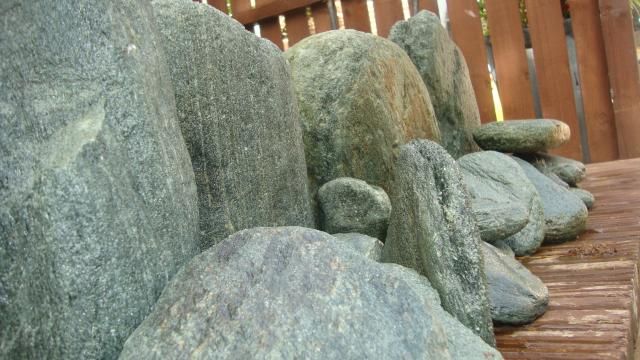DSC02568.jpg