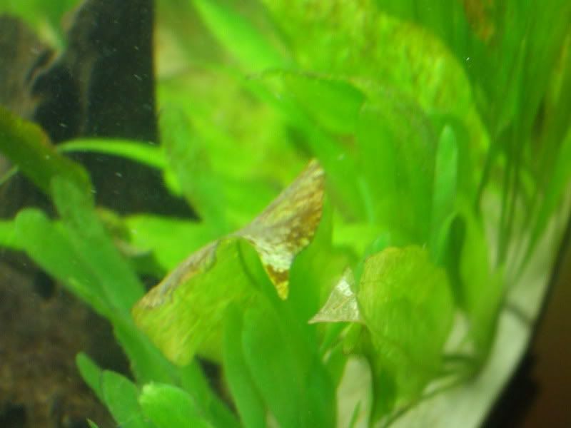 DSCF5599.jpg