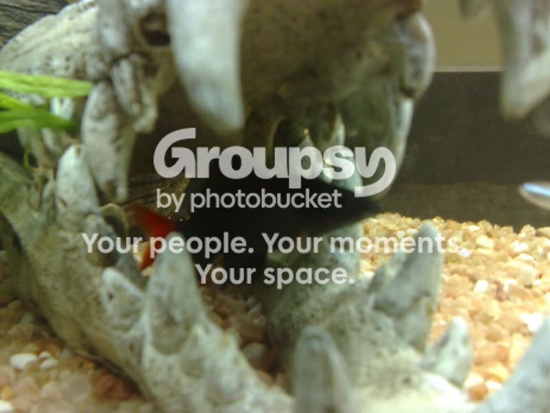 14052010360.jpg