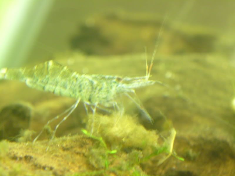 S7002741.jpg