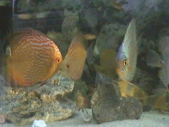 picture0897be.jpg