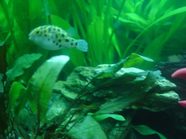 DSC03178.jpg