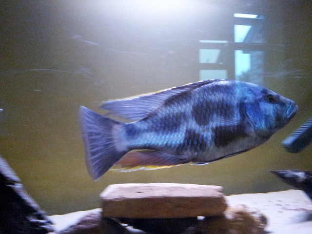7602707836_ec1ae46c14_z.jpg