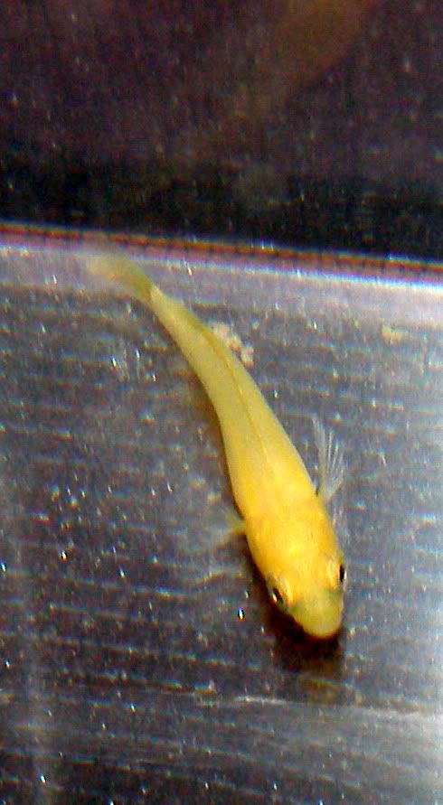 P1310014_edited.jpg