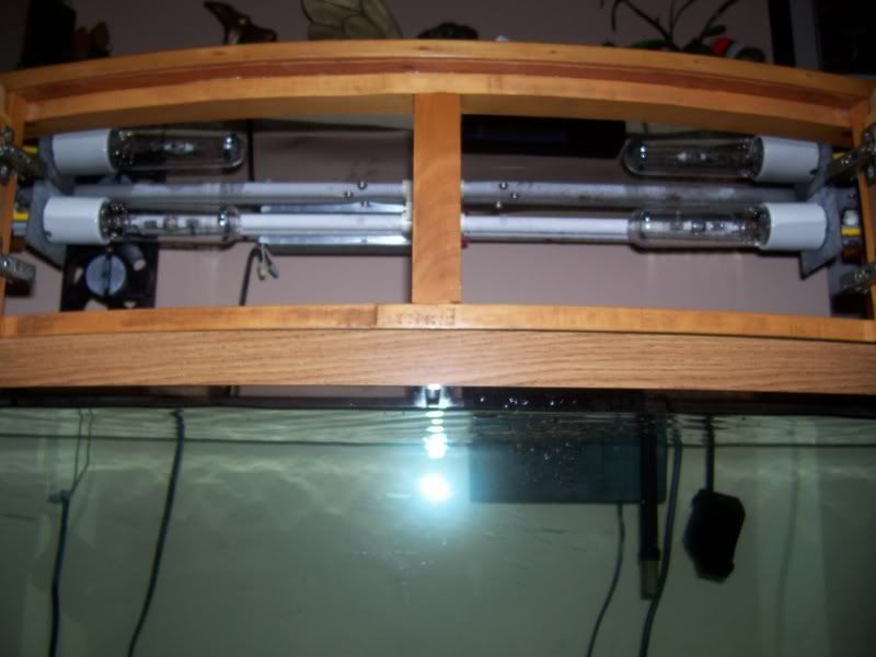 Picture036.jpg