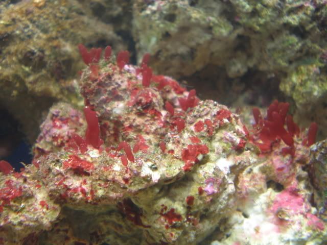 P1070009.jpg
