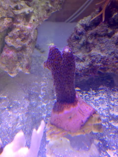 20122010379.jpg