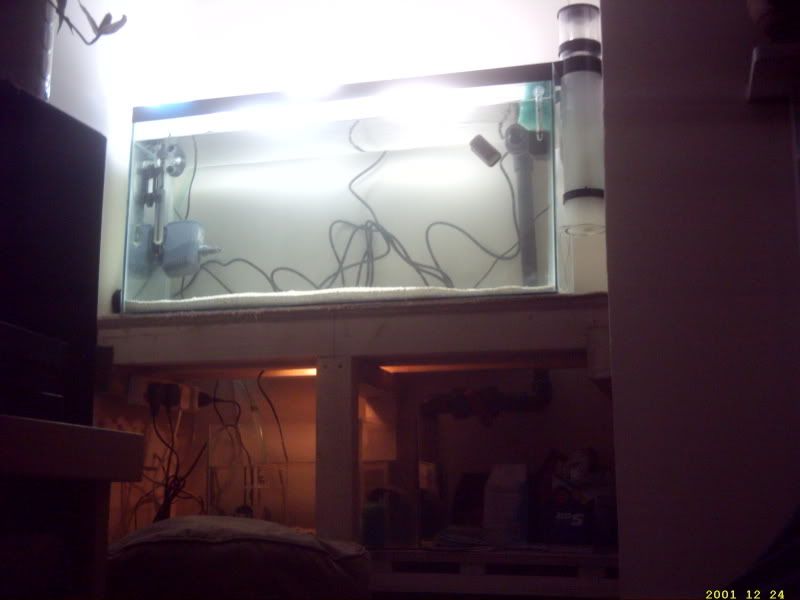 lights007.jpg