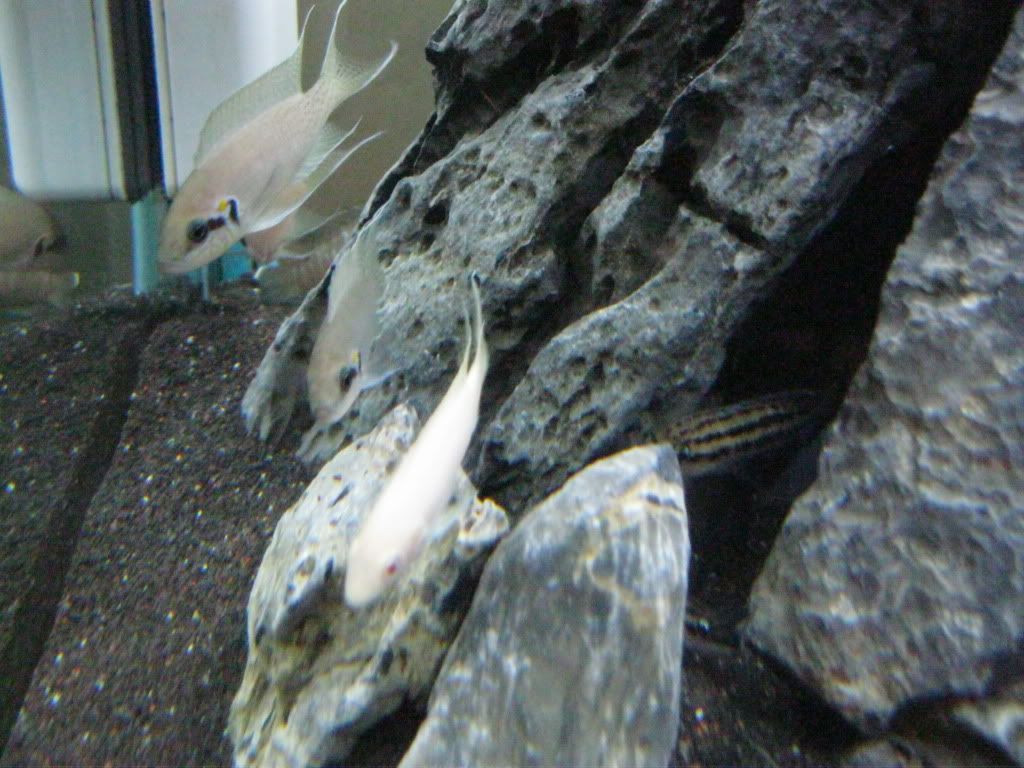 IMG_0260.jpg