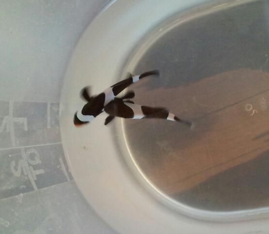 20120511_192250-1.jpg