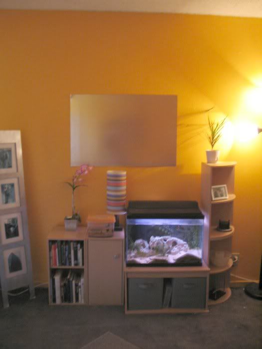Picture2335014.jpg