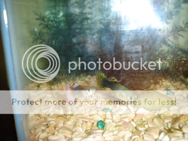 DSC03277.jpg