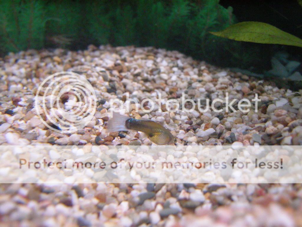 DSCN2941.jpg
