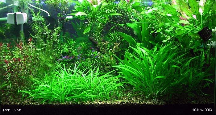 hphotost3_031110.jpg