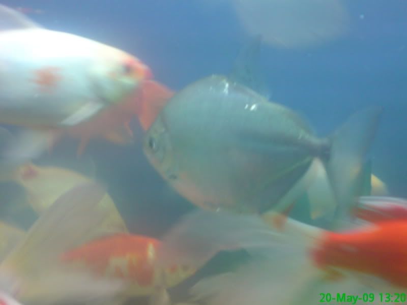 DSC00303.jpg