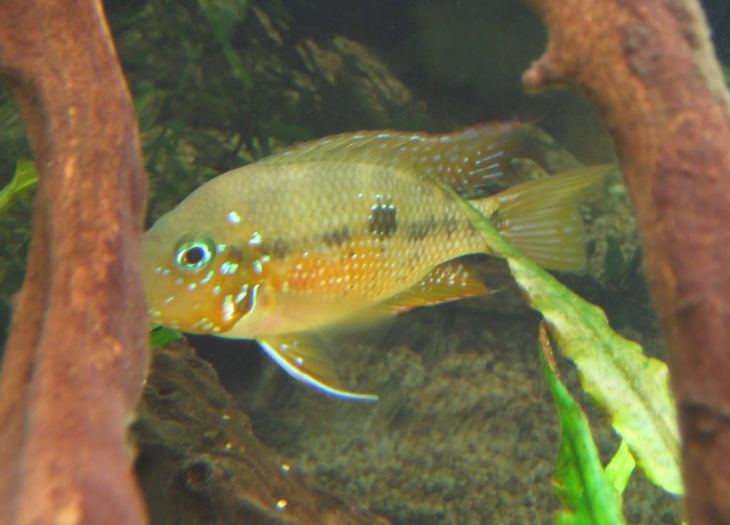 IMG_2374.jpg