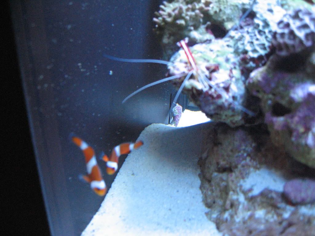 IMG_1812.jpg