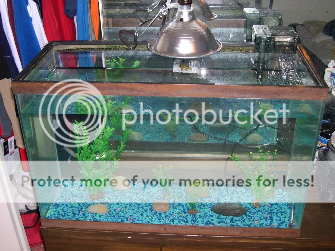 fishtank.jpg