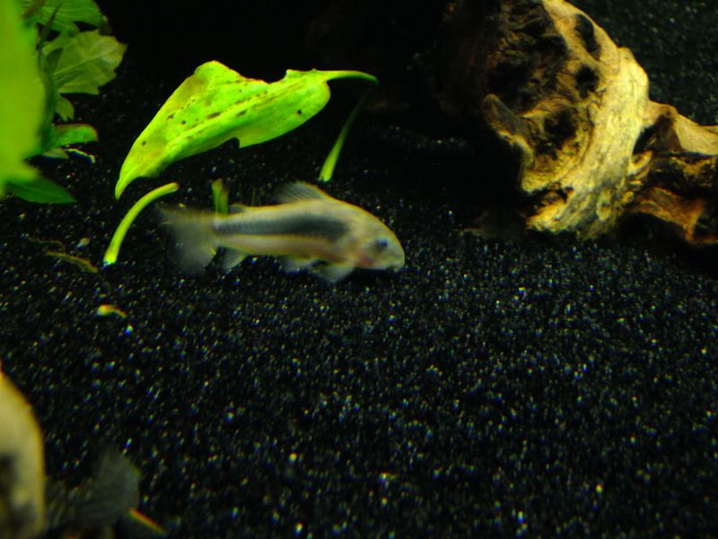 DSCF3107.jpg