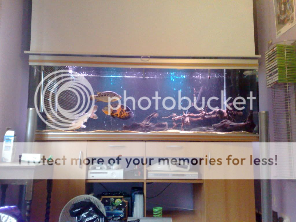 11092008093.jpg