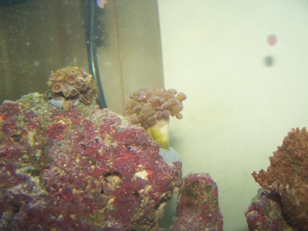 000_0045.jpg