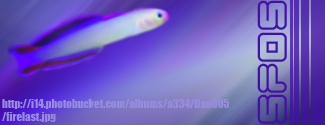 FishSig-2.png
