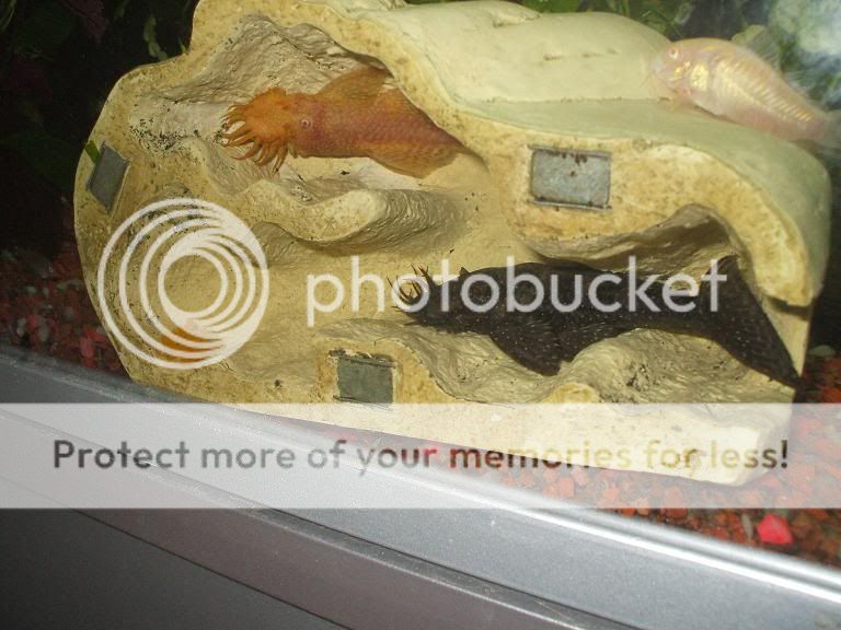DSCF0510.jpg