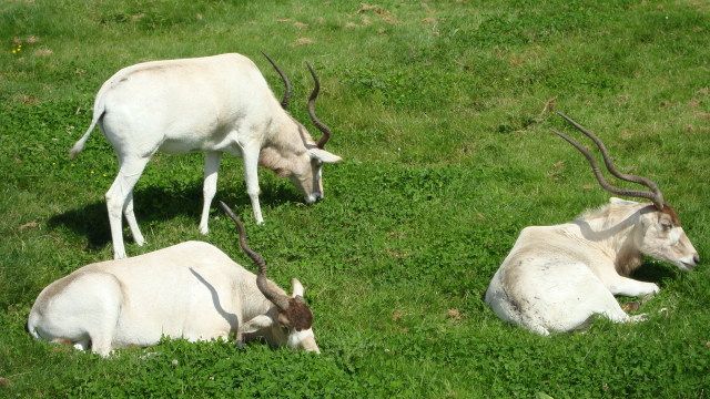 DSC01615.jpg