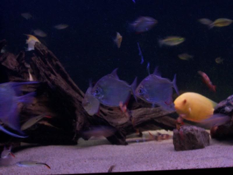 100_6072.jpg