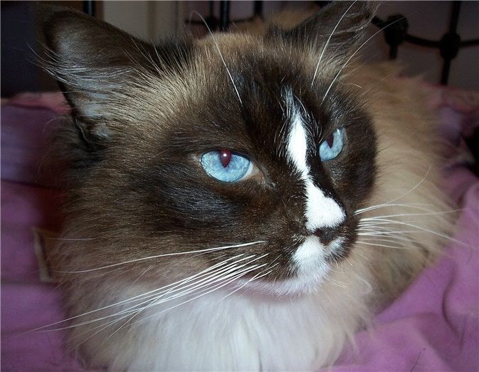 lucy2010405.jpg