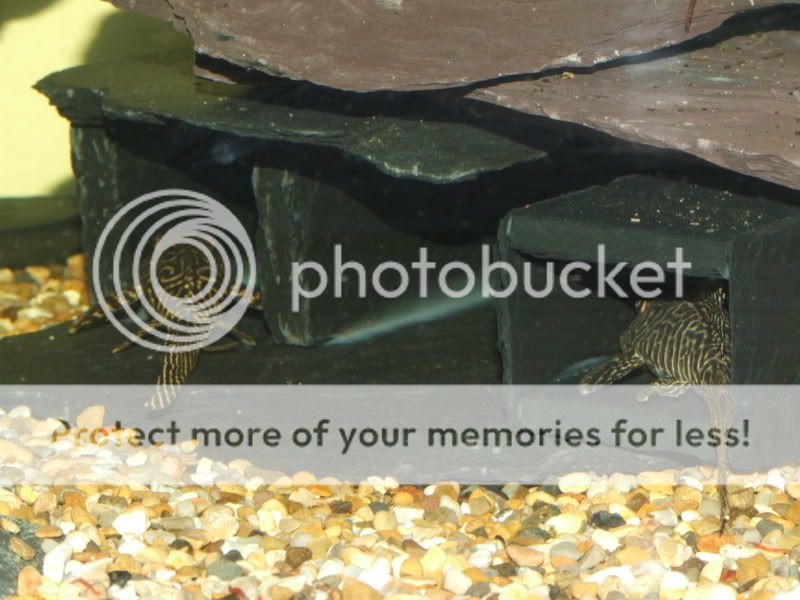 DSCF0514.jpg