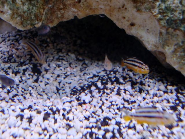 DSC01116.jpg