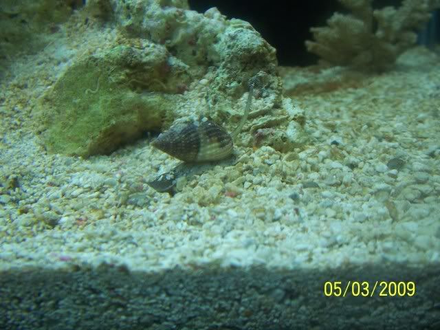 100_5565.jpg
