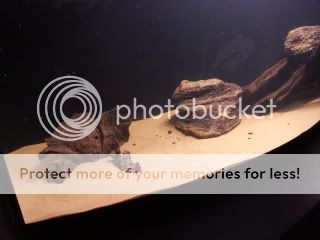 20121003_184944.jpg