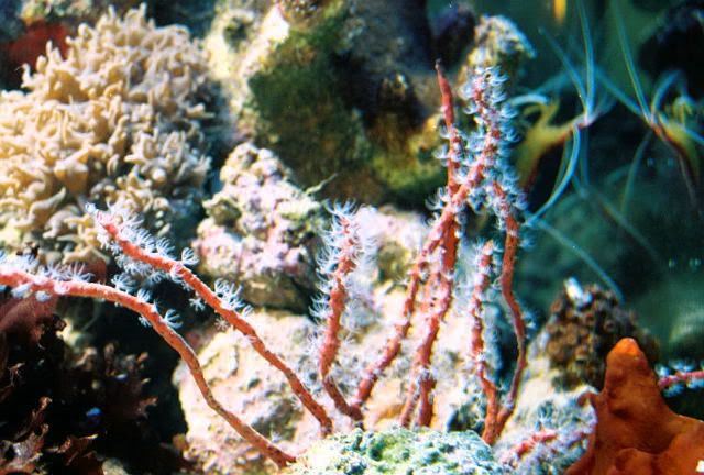 FL000002.jpg