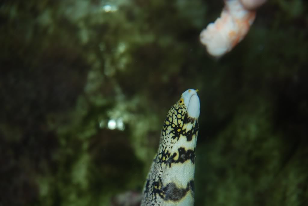 DSC_1037.jpg