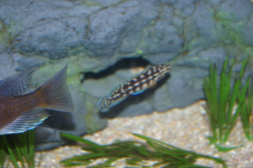 IMGP0028.jpg