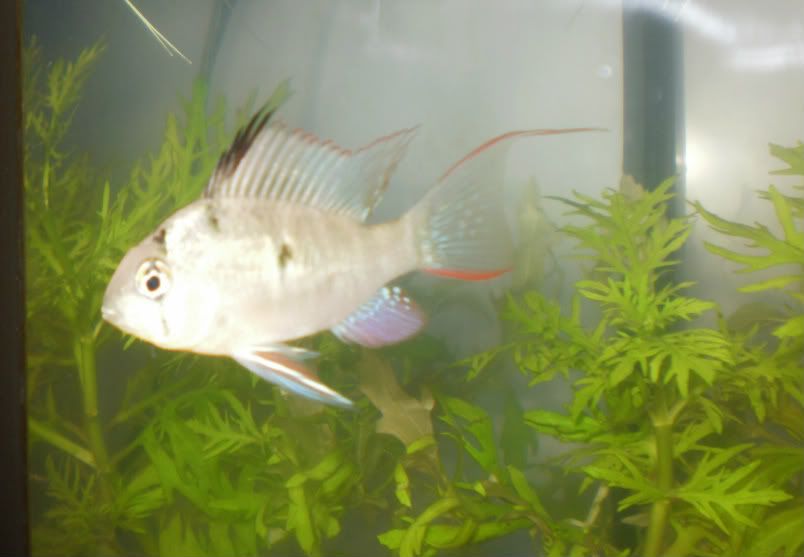 P1010254-1.jpg