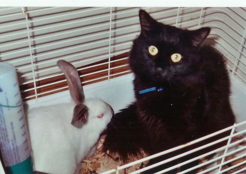 scan0002.jpg
