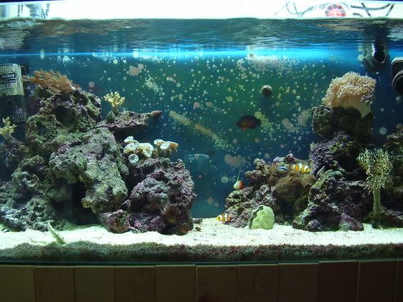 fts001.jpg