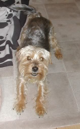 Millie007.jpg