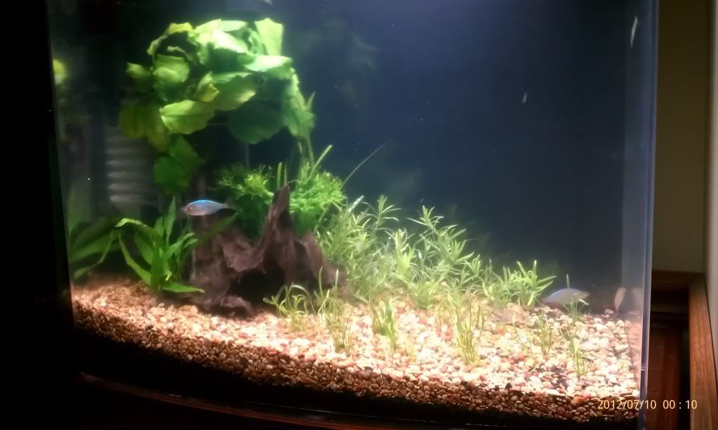 IMAG0525.jpg